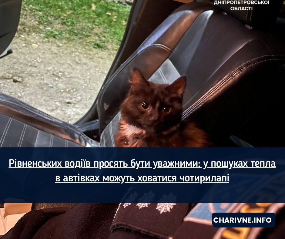 Фото ілюстративне
